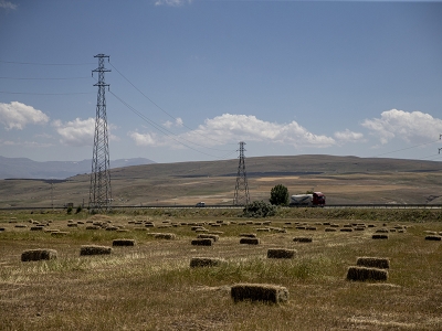 Yem bolluğu hayvan sayısını da arttıracak