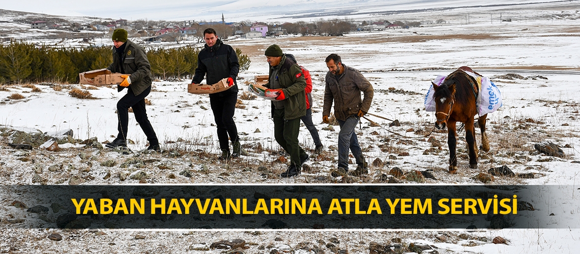 Yaban hayvanlarına atla yem servisi