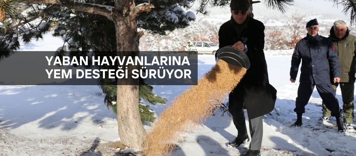 Yaban hayvanlarına yem desteği sürüyor
