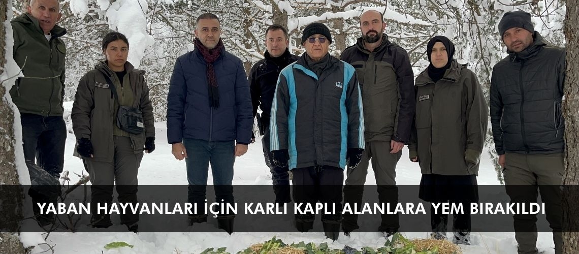 Yaban hayvanları için karlı kaplı alanlara yem bırakıldı