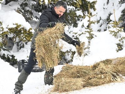 Yoğun karda hayvanlar unutulmadı