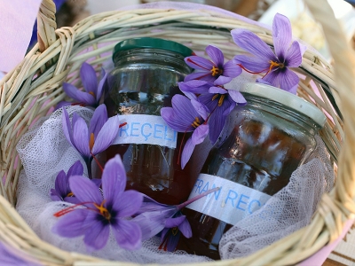 Kadın elinden safranda ilk hasat