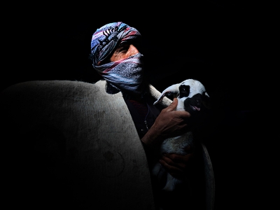 Konya’da çoban eğitimi sürüyor