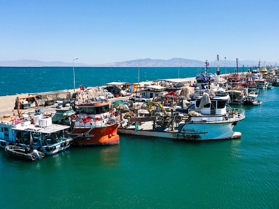 Balıkçılar yeni av sezonundan umutlu