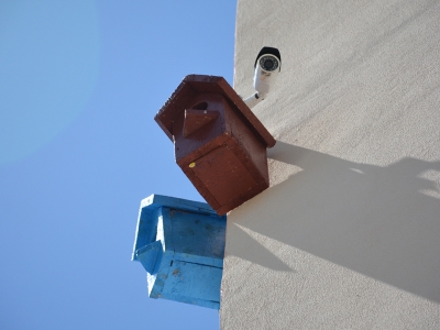 Duvarlara kuş evleri asıldı