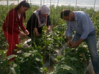 Genç çiftçi projesi seralar kuruldu