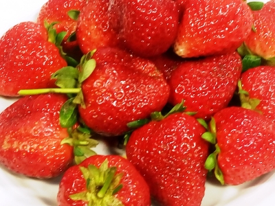 Kahramanmaraş’ta desteklemeler meyvelerini verdi