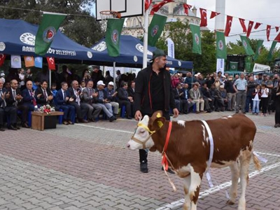 İstanbul’da “Toprak Bayramı” kutlandı