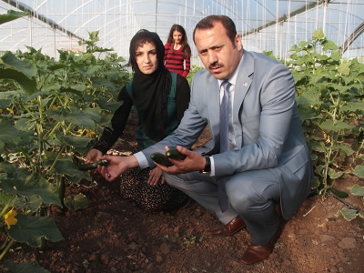 Elazığ’da seralar çiçek açtı