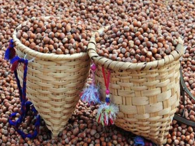 Fındık üreticilerine uyarı