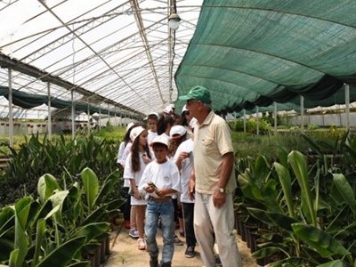 Muğlalı çocuklar tarım kampında