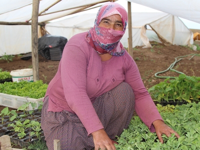 Diyarbakır karpuzu ağır olacak