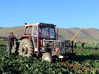 Ramazan’da zor mesai devam ediyor