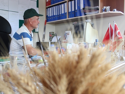 Tohumların en verimlisini arıyor