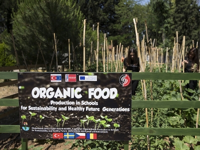 Okulda organik sebze yetiştiriyorlar