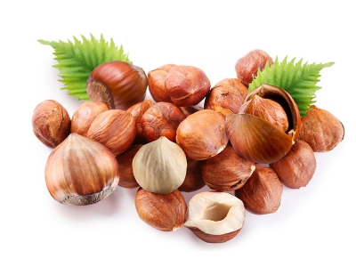 Giresunlu fındık üreticisine 1 milyon lira destek