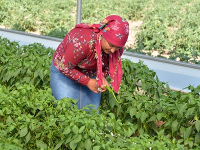 Kayserili genç çiftçinin mutluluğu