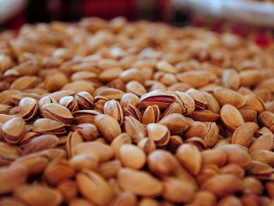 Antep fıstığı sıcağa meydan okuyor