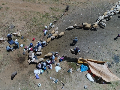 Berivanların hayat mücadelesi