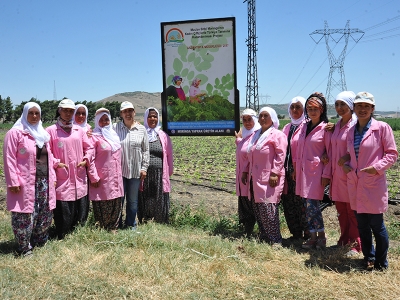 Mucize bitki Gaziantep’te yetişecek