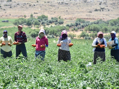 Kilis’te tarımla birlikte ticaret de canlandı