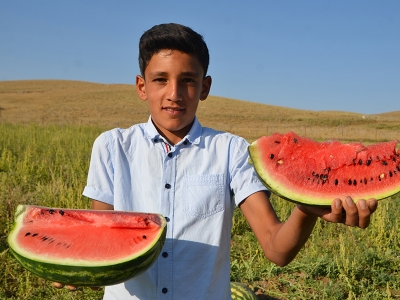 Yüksekova’da karpuz bereketi