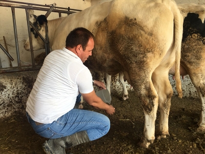 Üretici çiğ süt fiyatındaki artıştan memnun