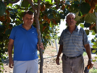 Biga ve Ören kiviyi sevdi