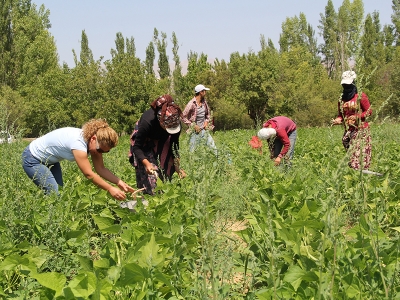 Isparta’nın gizli kahramanı; 