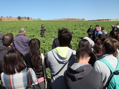 Çanakkale’de domateste gübreleme demonstrasyonu