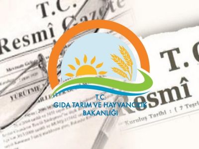 Sünger üretimine düzenleme