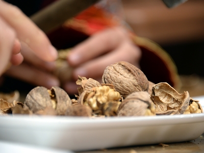 Tokat’ın altın cevizi