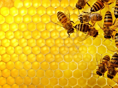 Dünya üçüncüsü oldu