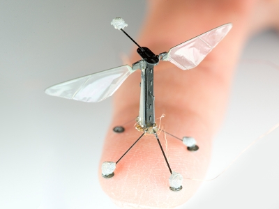 Robot arı gerçeğini aratmıyor