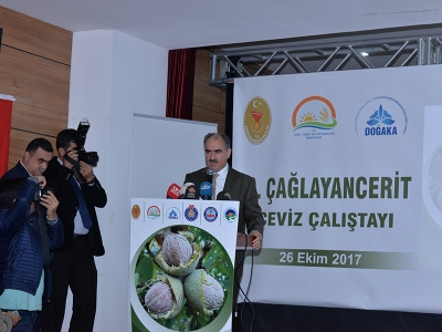 Kahramanmaraş’ta ceviz çalıştayı