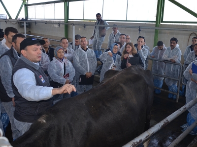 Denizli’de kondisyon tespiti eğitimi