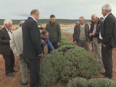 Güneydoğu Anadolu Bölgesi çiftçileri Isparta'da