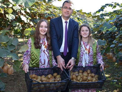 Ordu’da kivi hasat şenliği