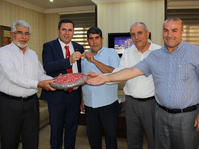 Yılın ilk Antep fıstığına altın ödülü