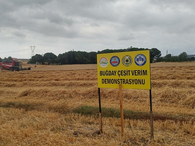 Çanakkale’de tarla günü