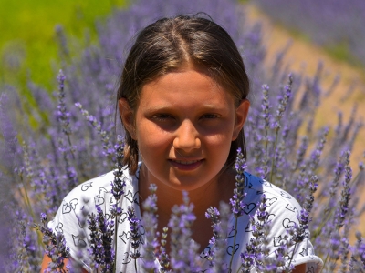 Kayseri’nin “Itri-Tıbbi” bitkileri