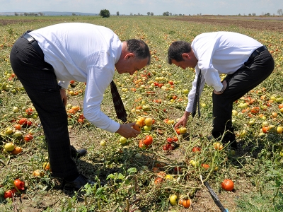 Bursa’da çiftçinin zararı karşılanıyor