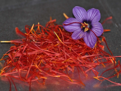 “Mucize bitki” için şampiyona düzenleniyor