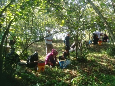 Düzce’de yevmiyeler belirlendi