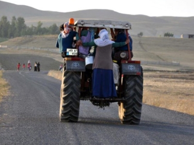 Yaylaya traktör ve kamyonetle gidiyorlar