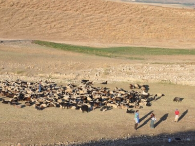 Yaylacılar köylerine dönmeye başladı