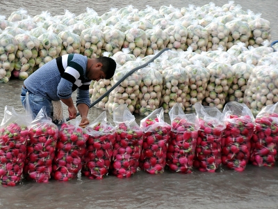 Turpun sofralara yolculuğu