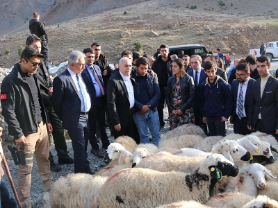 Ucuz etin kalitesinde sorun yok