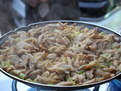 Artvinli üreticiler istiridye mantarını pişirerek tanıttı