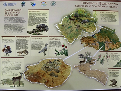 Bozkırlar için önemli proje